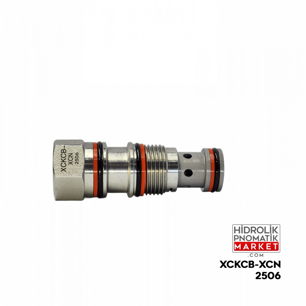 Coilworld XCKCB-XCN  Pilot Kumandalı Çek Valf T11A  Debi 60 Basınç 350