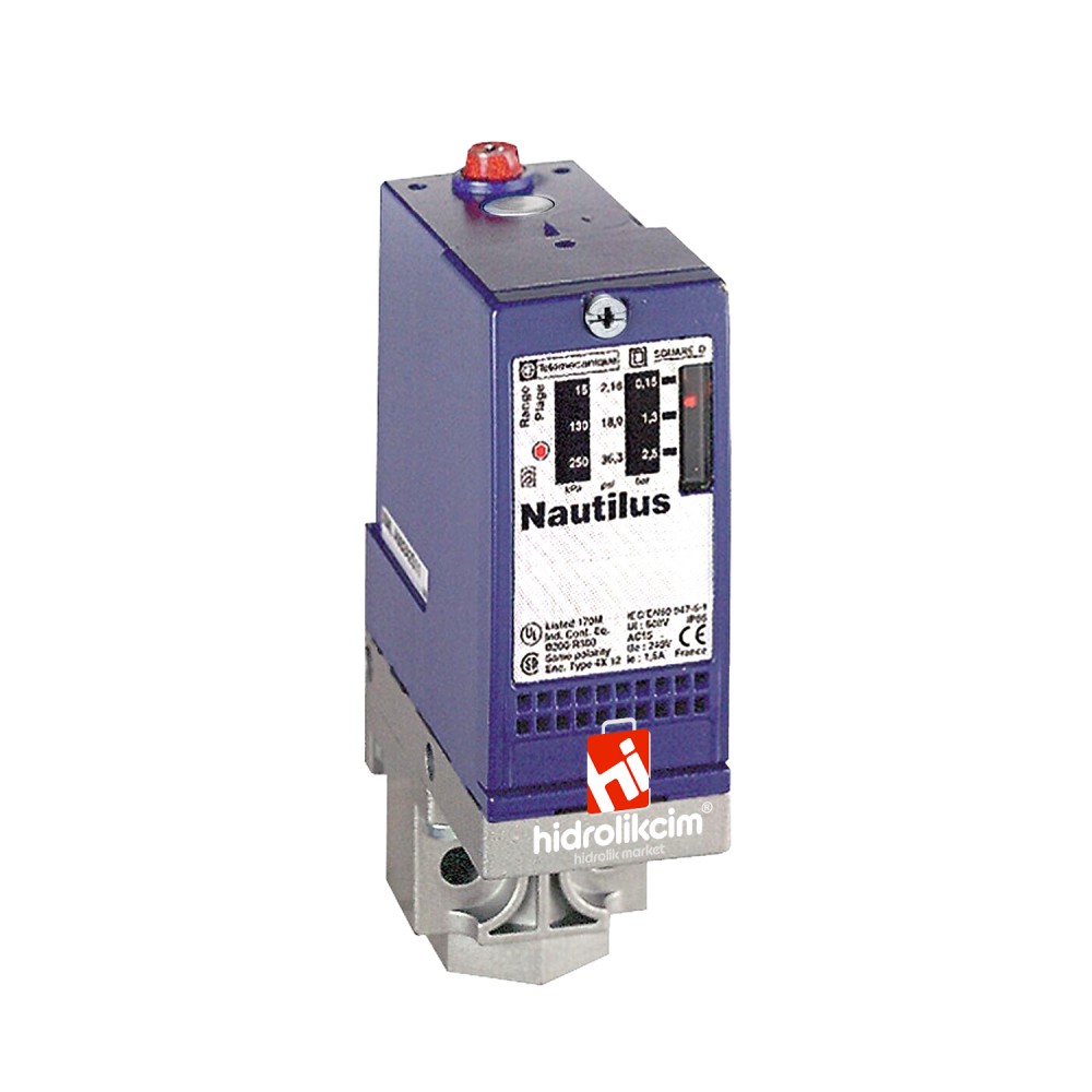 XML-A300 TELEMECANİGUE SWITCH 20-300 BAR 1/4