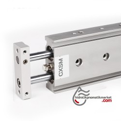 CSMX 15x25 Çift Piston Pnömatik Silindir - Maske Makinesi Yedek Parça CSMX 15x25 Çift Piston Pnömatik Silindir - Maske Makinesi Yedek Parça