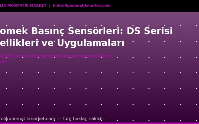 Pnomek Basınç Sensörleri: DS Serisi Teknik Rehber